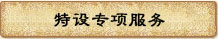 特设专项服务