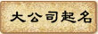 大公司起名